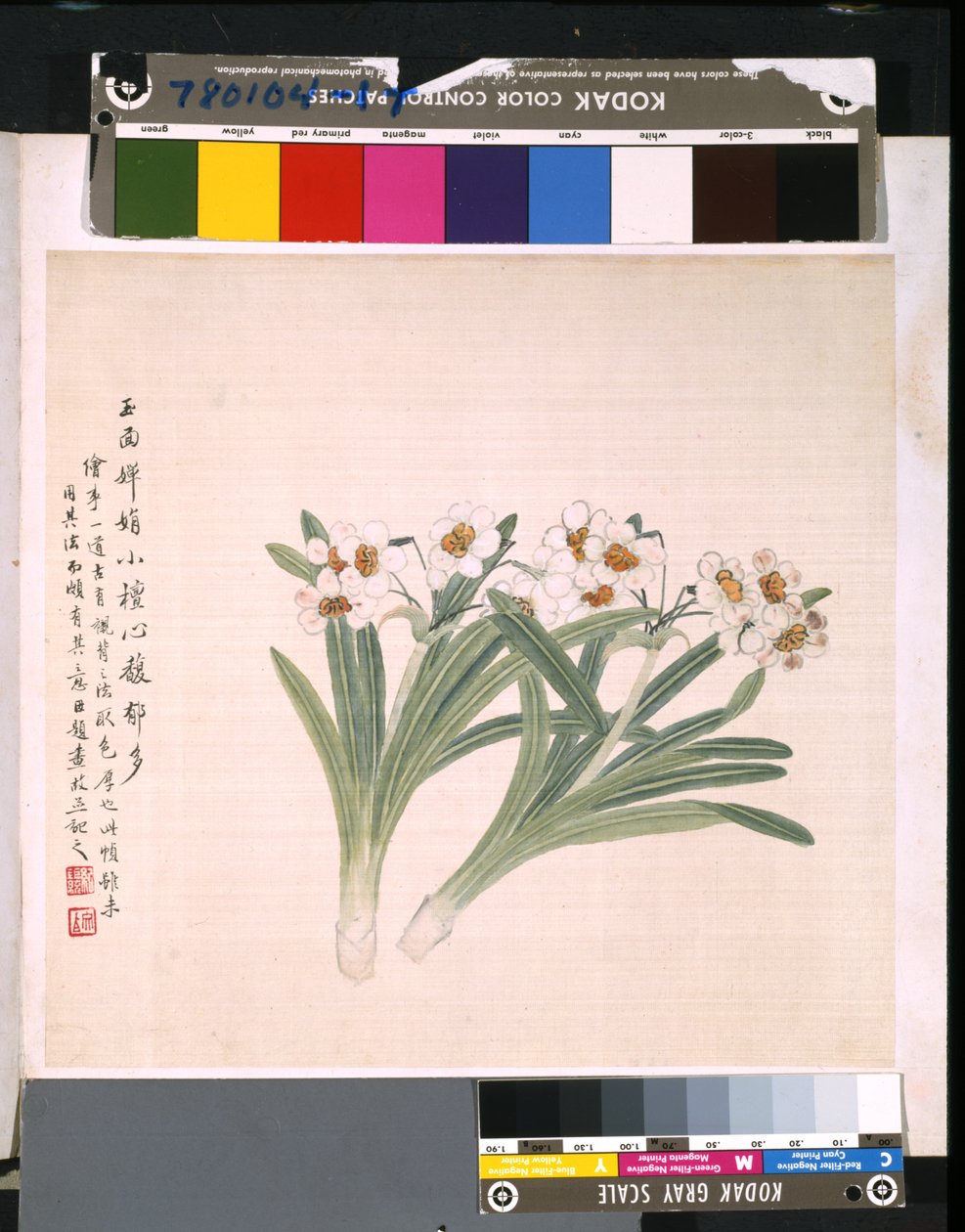 Album of Flowers and Birds by School Chinese
