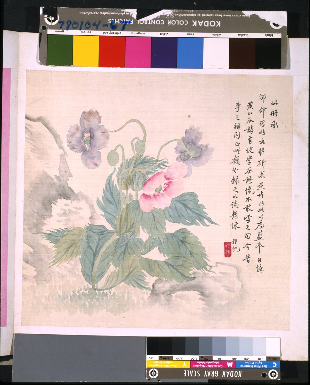 Album of Flowers and Birds by School Chinese