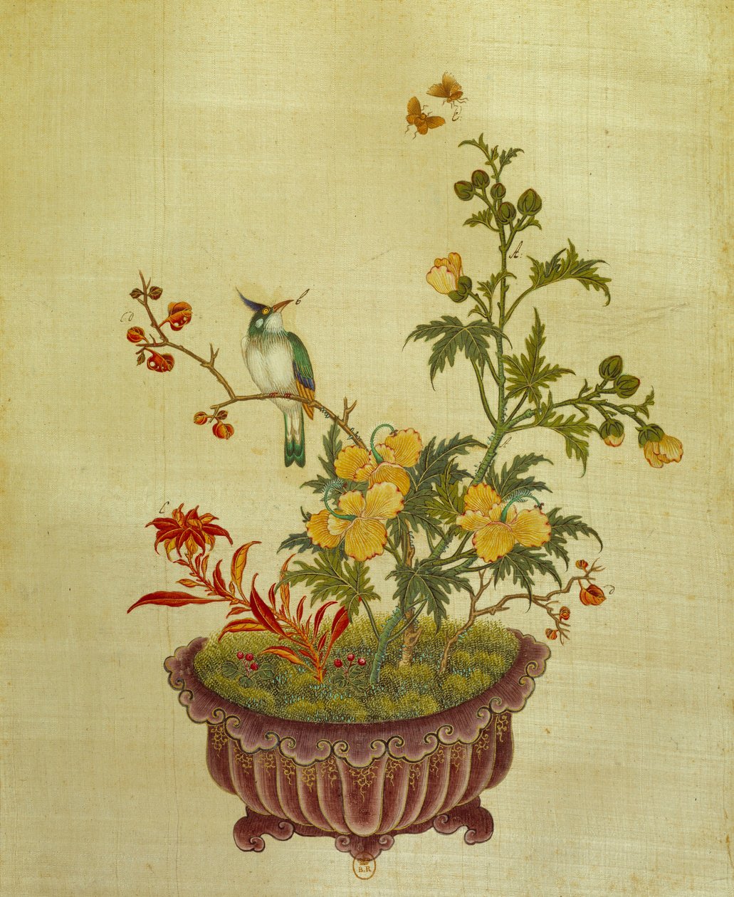 Art China: painting on silk flowers and birds. Anonymous of the 18th century. Paris, BN by School Chinese