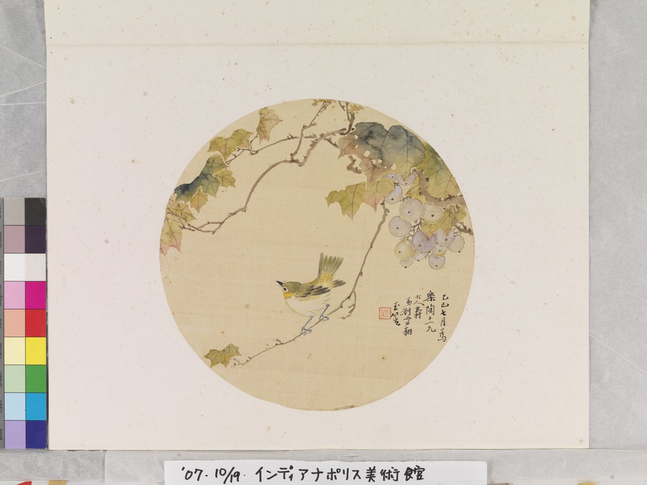 Bird on Grape Branch by School Chinese
