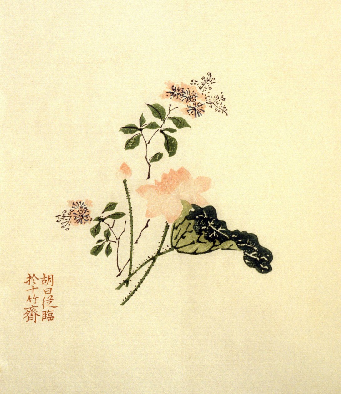 Lotus flower - ink on paper, China by School Chinese