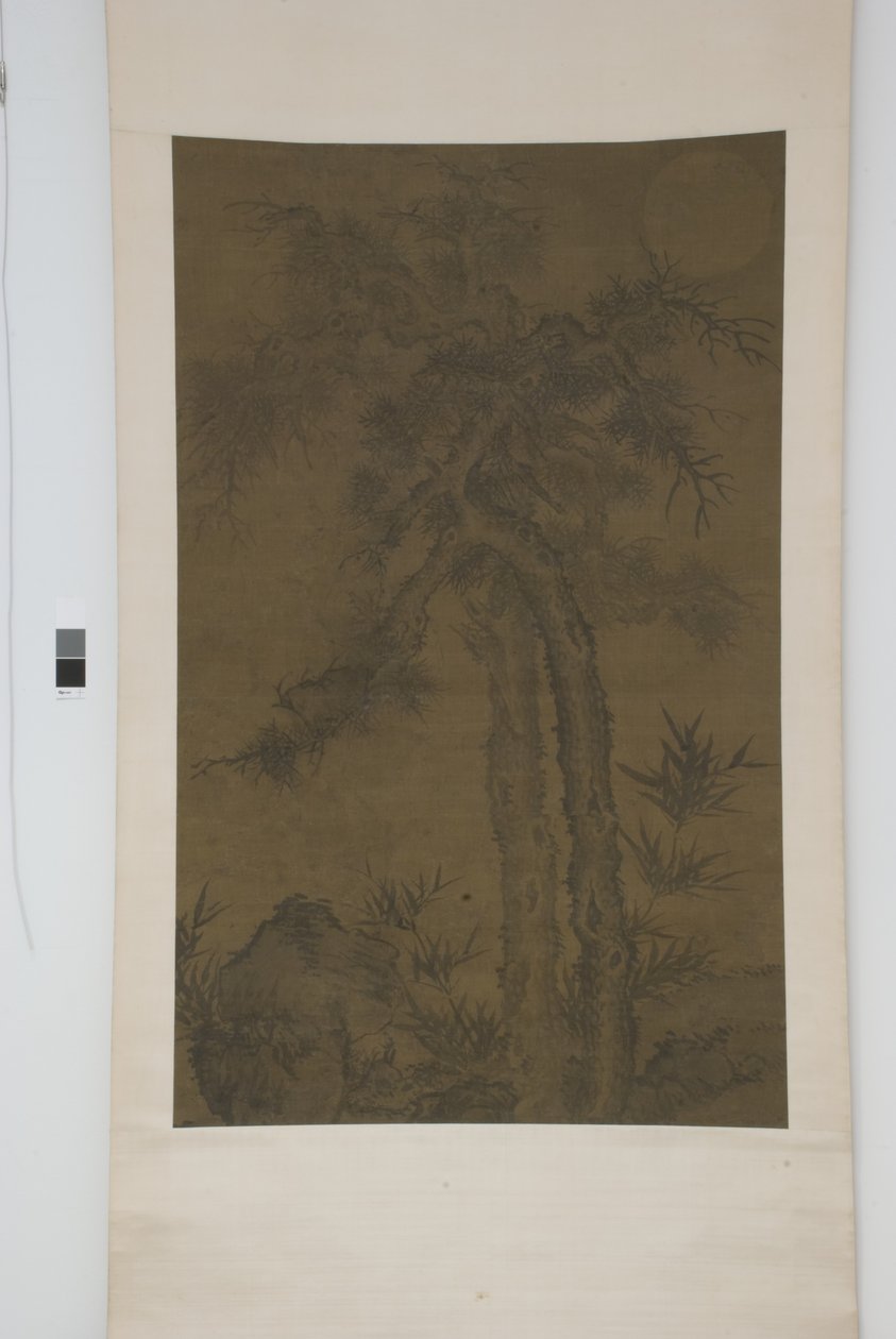 Old Trees Beneath the Moon by School Chinese