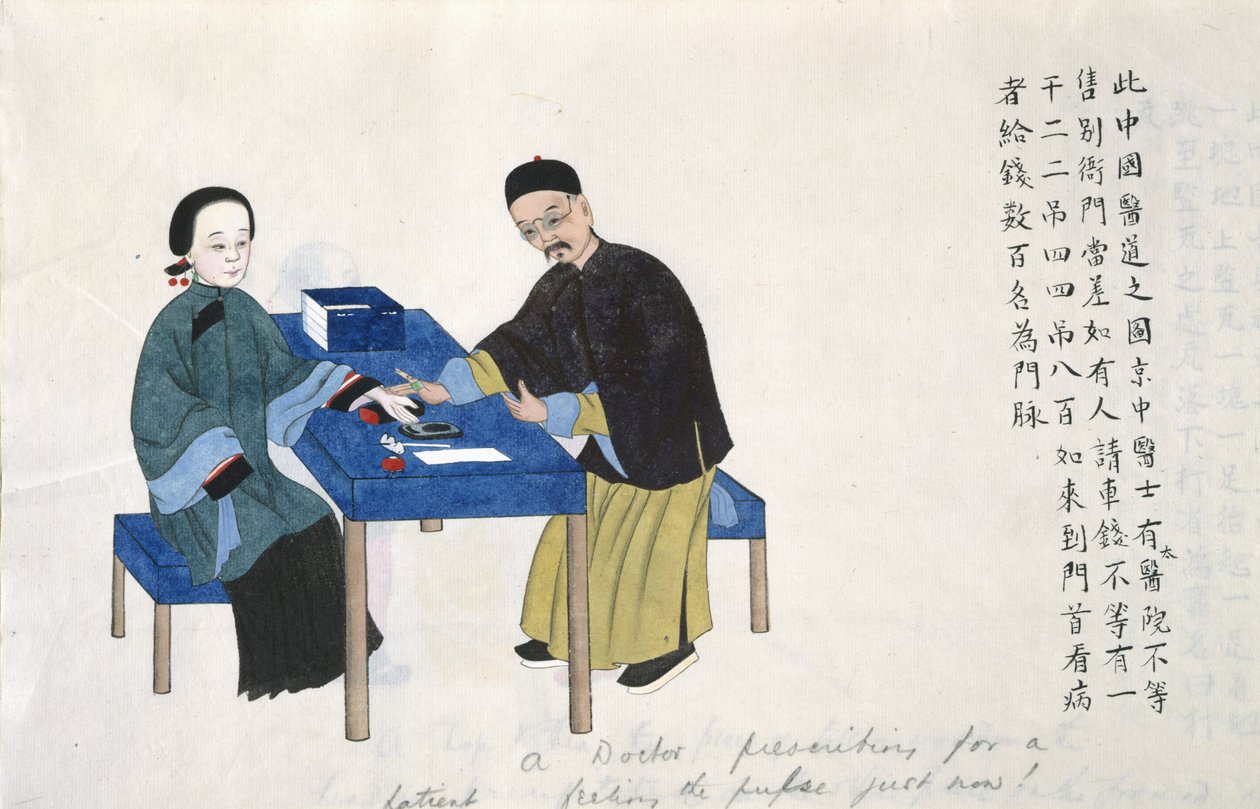 Taking a Pulse by School Chinese