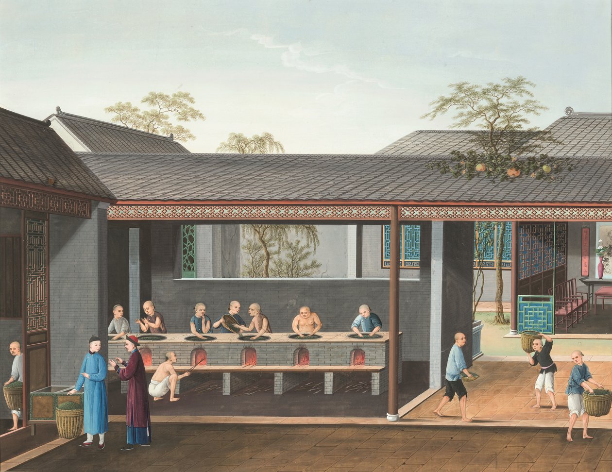 Tea Production, c. 1820 by School Chinese
