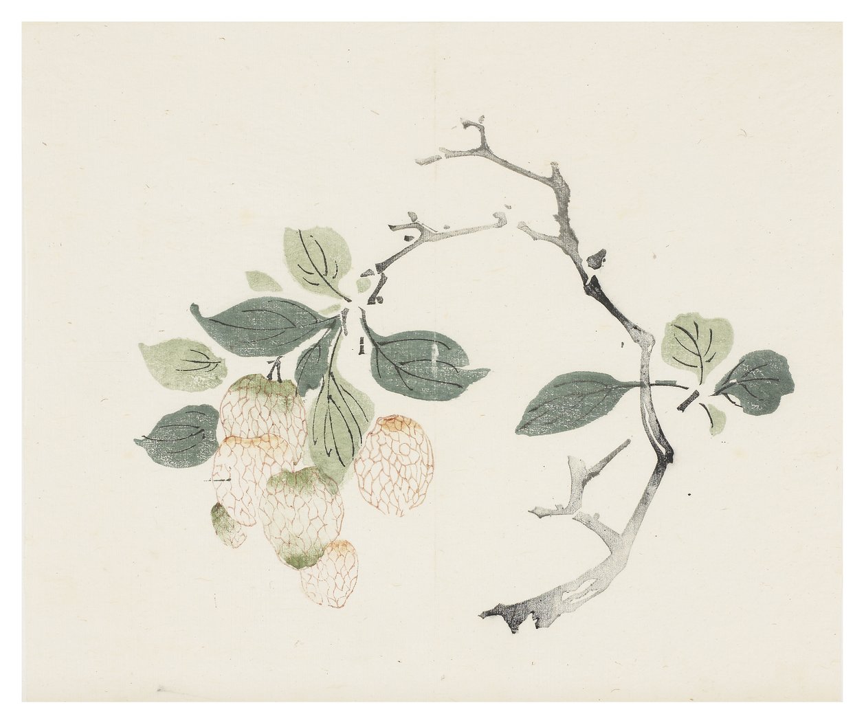Ten Bamboo Series by School Chinese
