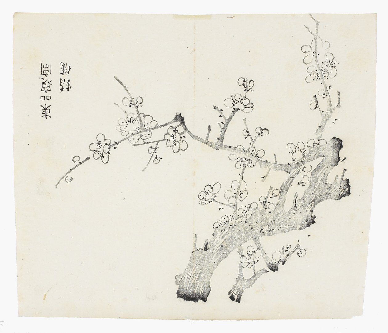 Ten Bamboo Series by School Chinese