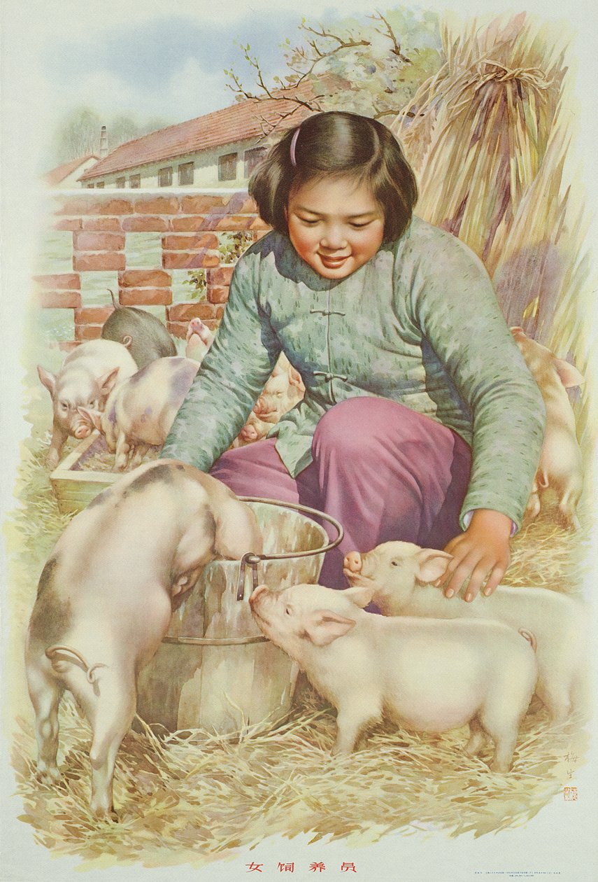 Woman Pig Breeder, Propaganda Poster from the Chinese Cultural Revolution by School Chinese