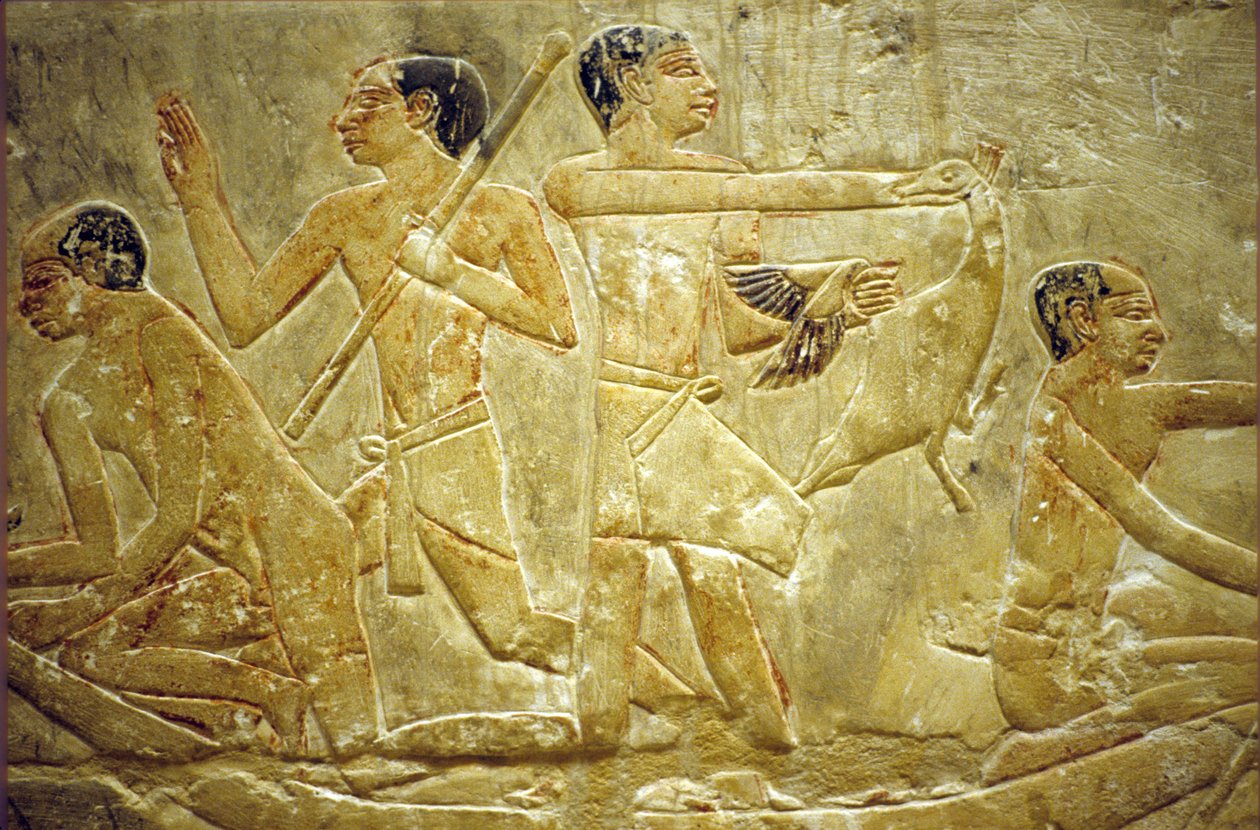 Wall carving/painting, Mastaba/Tomb of Idout, Saqqara, Trapping birds in the marsh, 6th Dynasty by School Egyptian