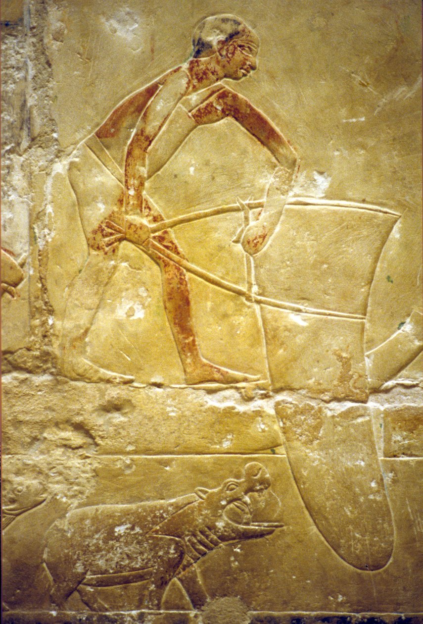 Ancient Egypt, Wall carving/painting, Mastaba/Tomb of Idout, Saqqara, 6th Dynasty, Fishing with a trap-net, Hippo by School Egyptian