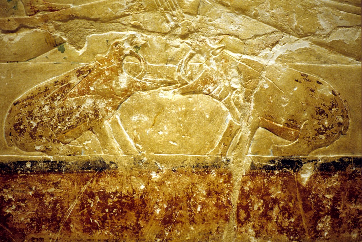 Ancient Egypt, Wall Carving/Painting, Mastaba/Tomb of Idout, Saqqara, 6th Dynasty, Two Hippos Fighting by School Egyptian