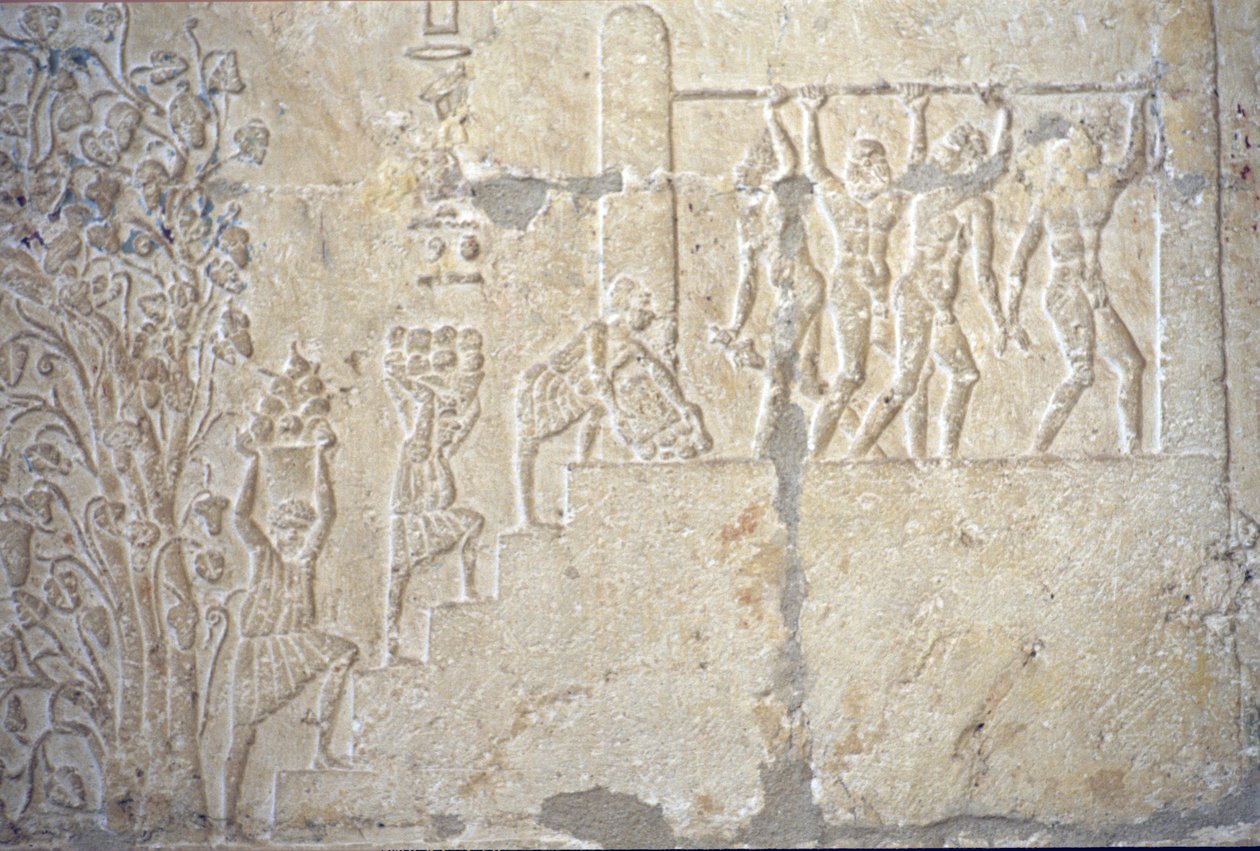 Ancient Egypt, Wall carving/painting, Tomb of Petosiris, Tuna el-Gebel, 300 BC, Wine harvest, Wine making, Wine press by School Egyptian