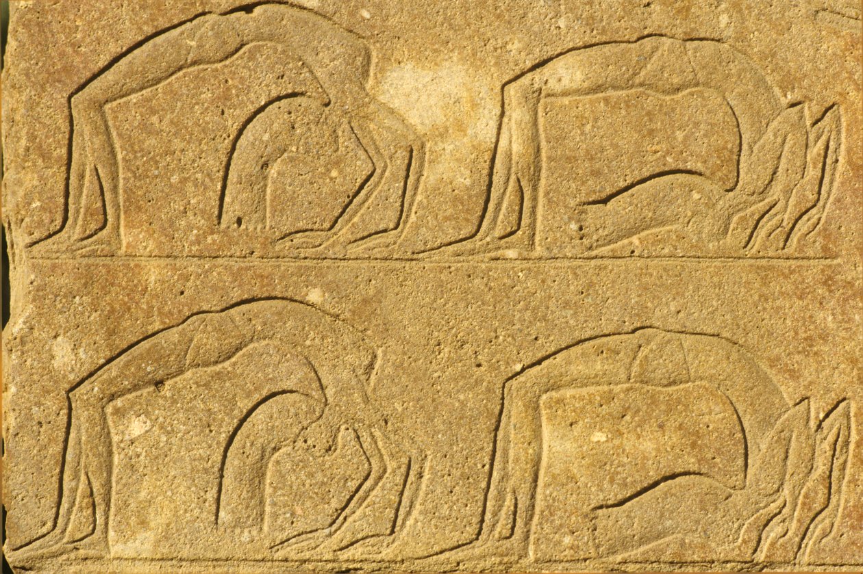 Ancient Egypt, Wall Painting/Carving, Female Acrobats Performing, Karnak Temple, Luxor by School Egyptian