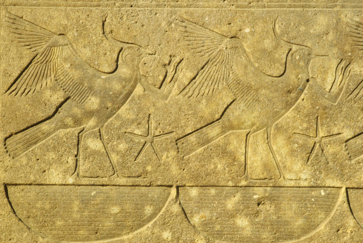 Ancient Egypt, Wall Painting/Carving, Lapwings, Representing the Various Tribes of Egypt, Karnak Temple, Luxor by School Egyptian