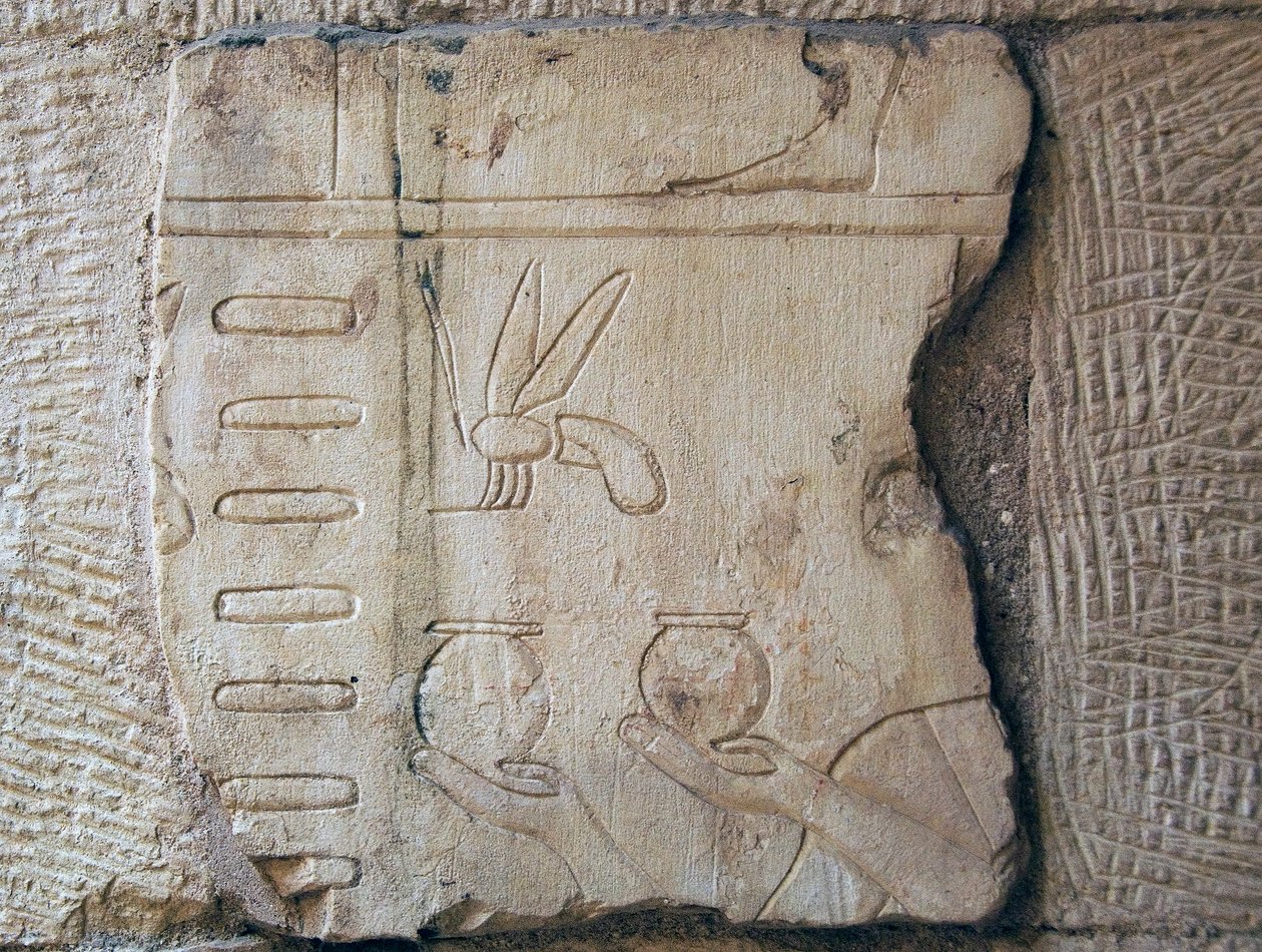 Detail (Relief, Luxor) by School Egyptian