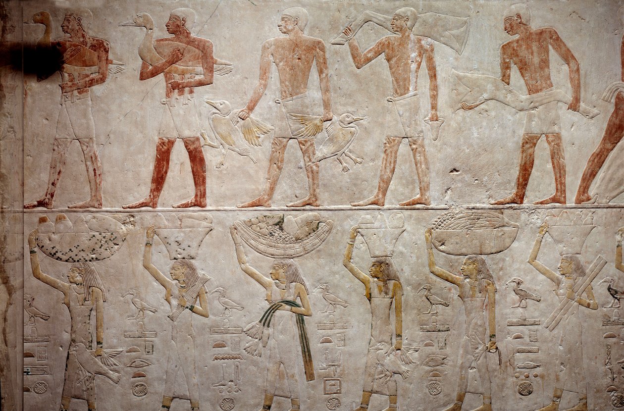 Egyptian antiquity: men carrying ducks. Limestone relief from the Chapel of Mastaba of Akhethetep in Saqqara. 5th dynasty (around 2500-2350 BC) 2300 BC. Paris, Louvre Museum by School Egyptian