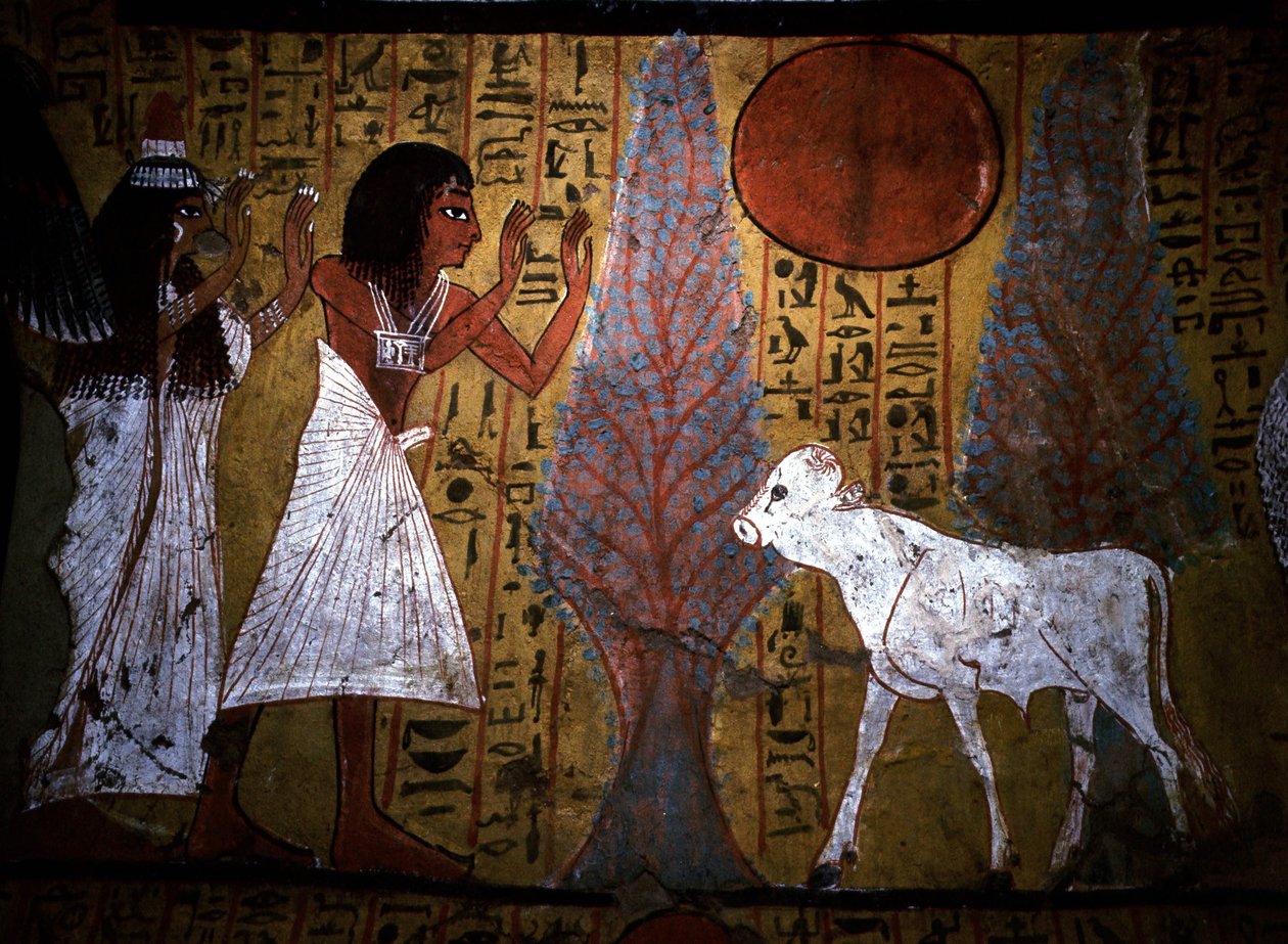Luxor - Thebes: Left bank of the Nile. Website of DEIR EL MEDINEH: Village and necropolis of artisans. Detail of a mural of a tomb showing the calf, still thin and fragile legs, embodies the future apis. 19th Dynasty. by School Egyptian
