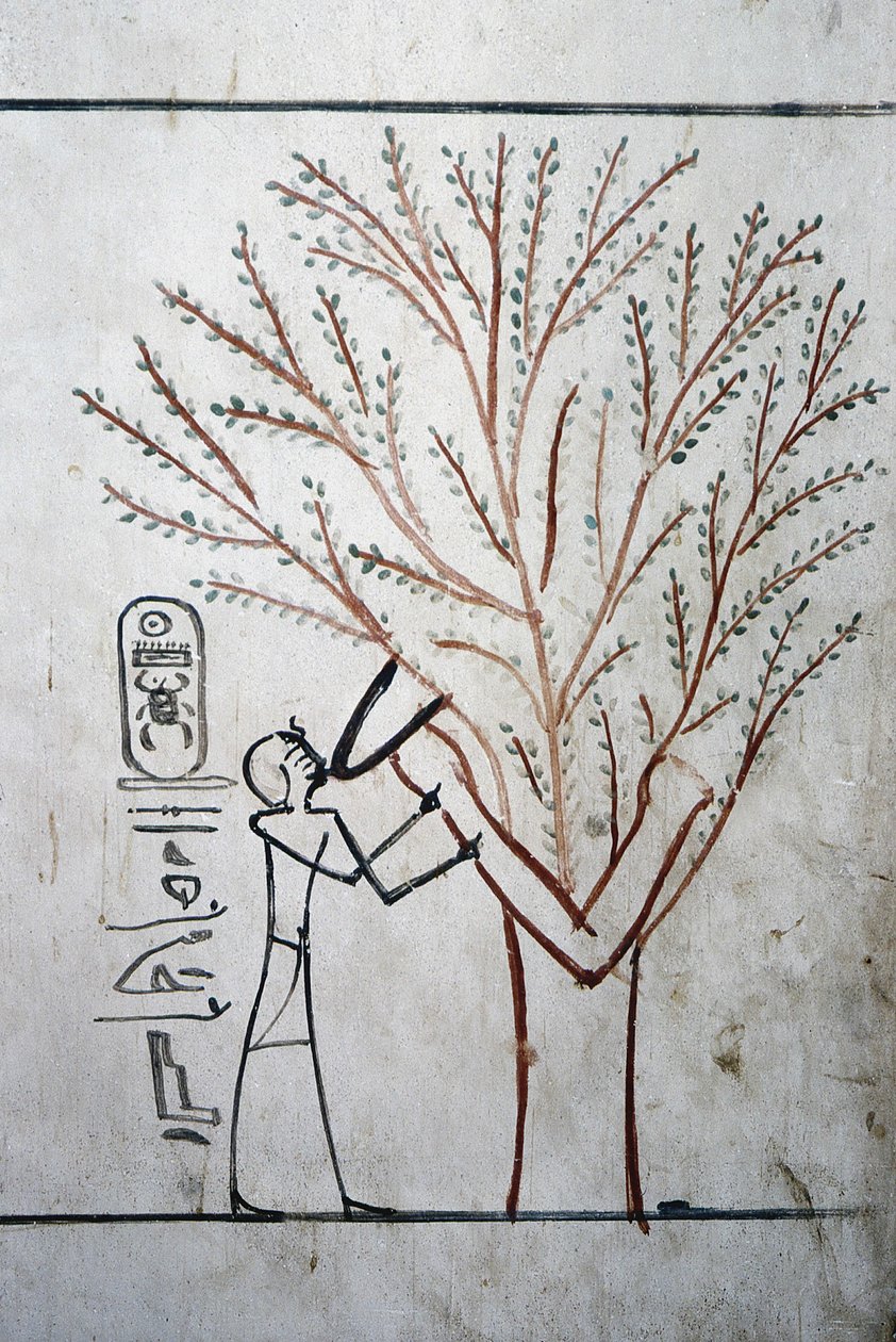 Luxor, Thebes: Valley of the Kings. Tomb of Thutmosis III (-1504 - -1450), Pharaoh of Egypt by School Egyptian