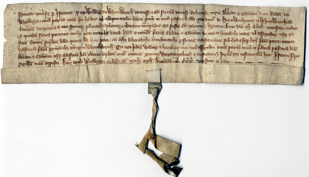 Medieval Deeds by School English