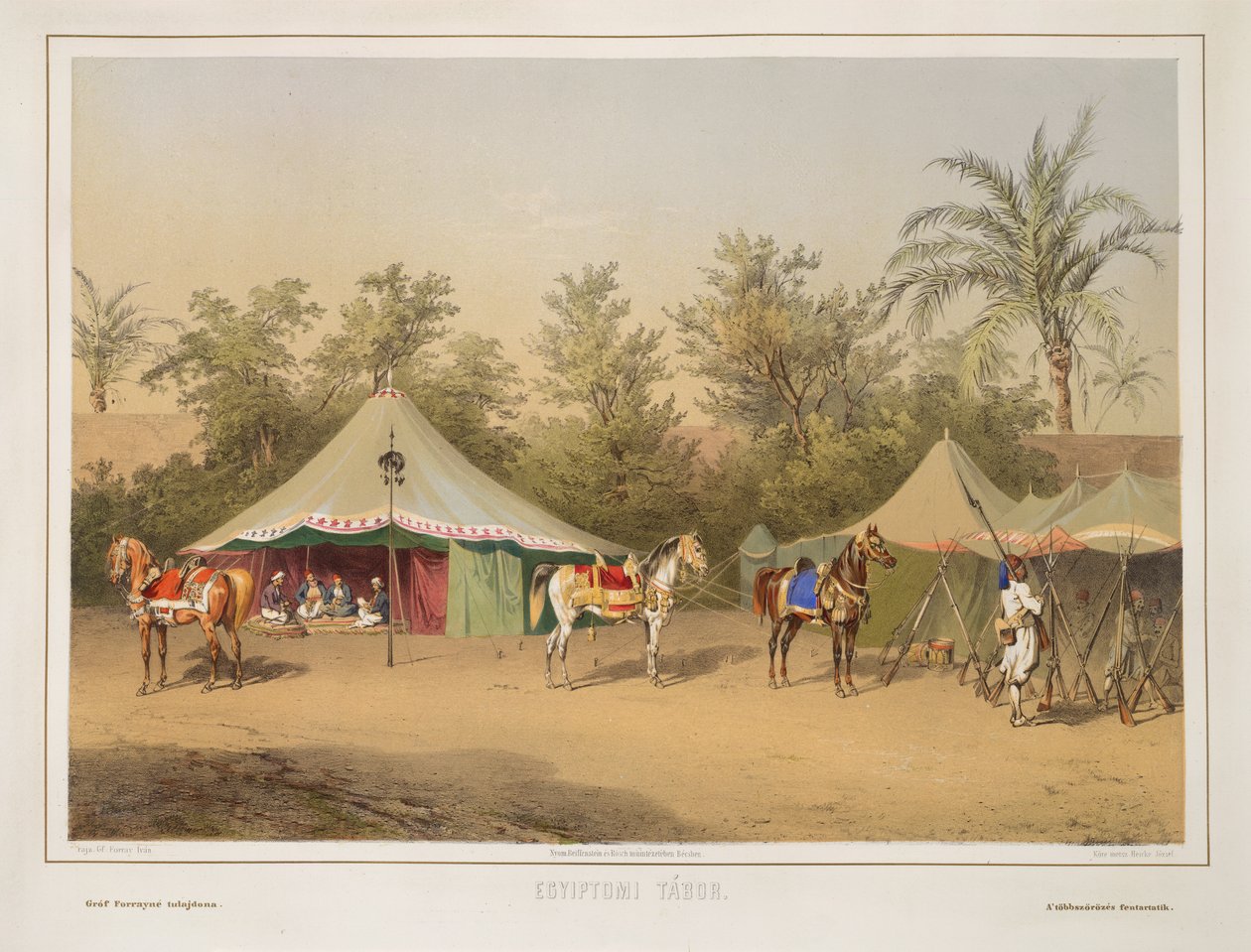 Camp in Egypt by School Hungarian
