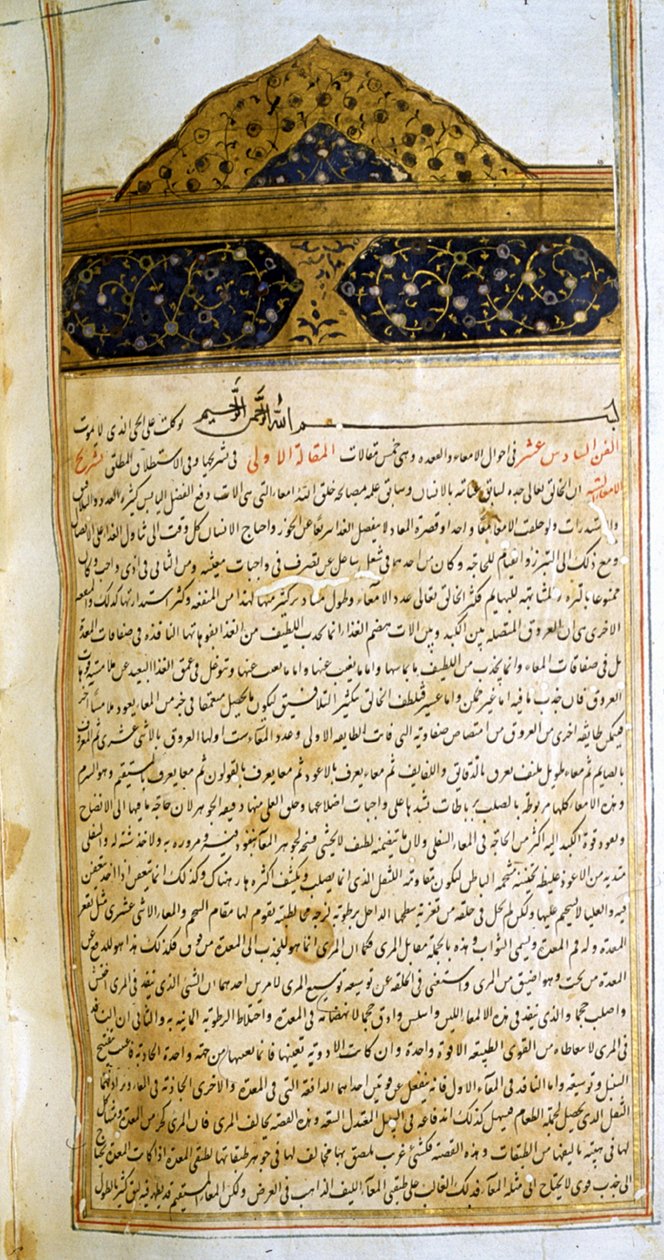 Page from The Canon of Medicine (al-Qānūn fī aṭ-Ṭibb) by Avicenna by School Iranian