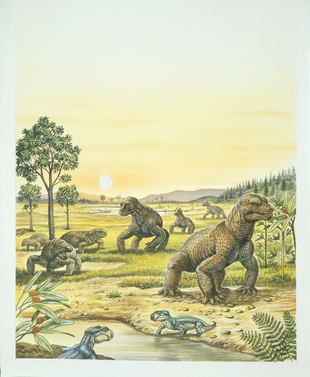 Anomodonts, foreground, Pareisaurs, left, and Dinocephalians, right, Paleozoic, Permian period by School Italian