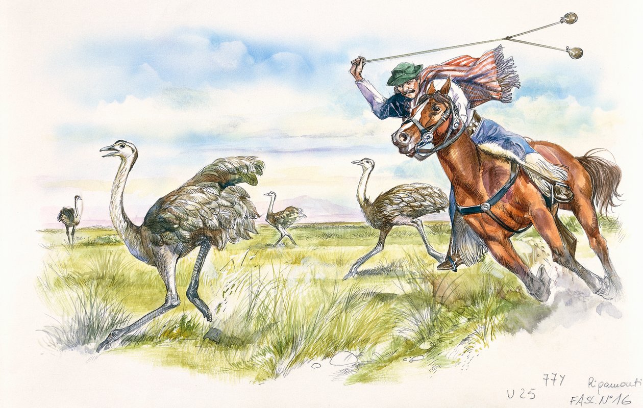 Argentina - herdsmen hunting rheas in the Pampas by School Italian