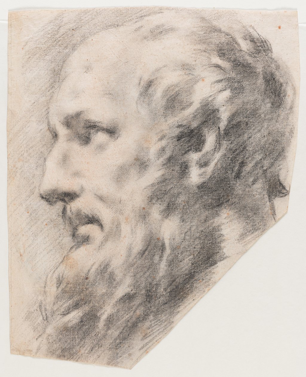 Profile Head by School Italian