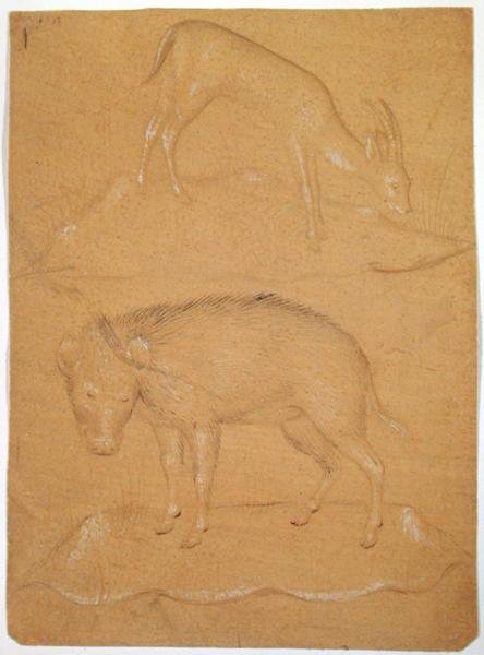 Study of a Goat and a Boar by School Italian