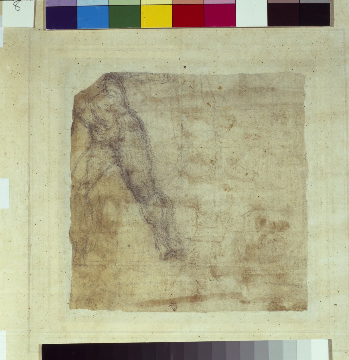Study of a man by School Italian