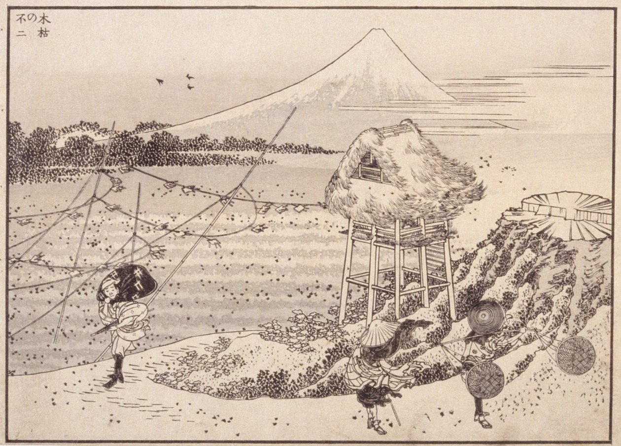 Autumn Winds, Fuji In Distance by School Japanese