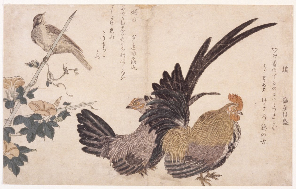 Cock, Hen, And Bird by School Japanese