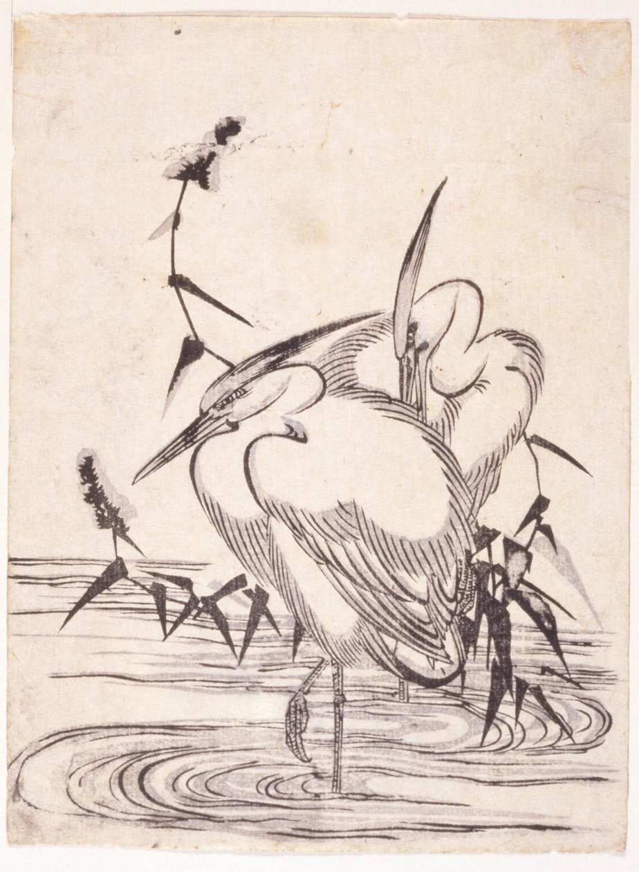 Two Herons by School Japanese