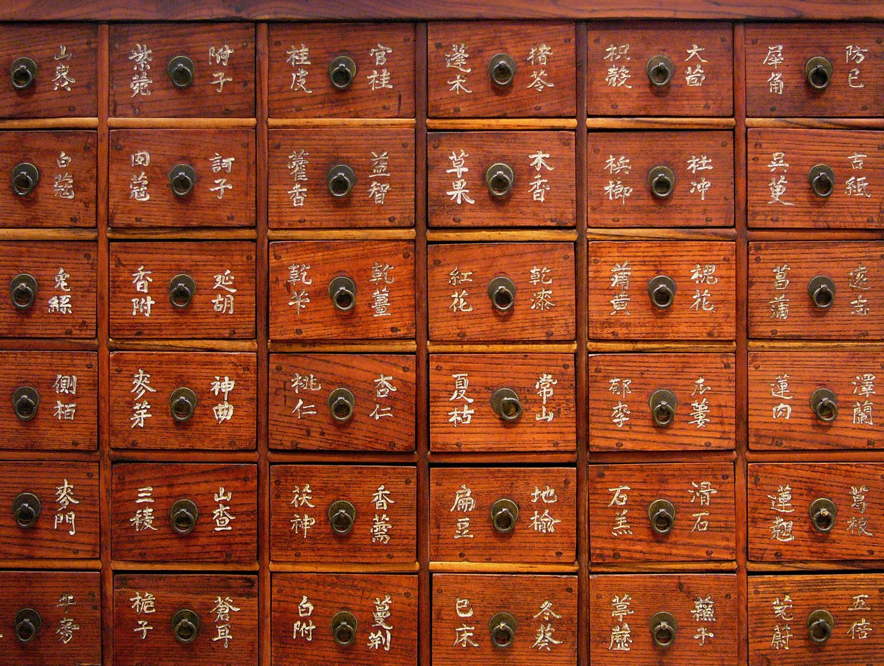 Detail of a wooden medical furniture, Joseon period, Korea, Kim Chong-hak Collection. Photography, Seoul National Museum, Republic of Korea, 2006. by School Korean