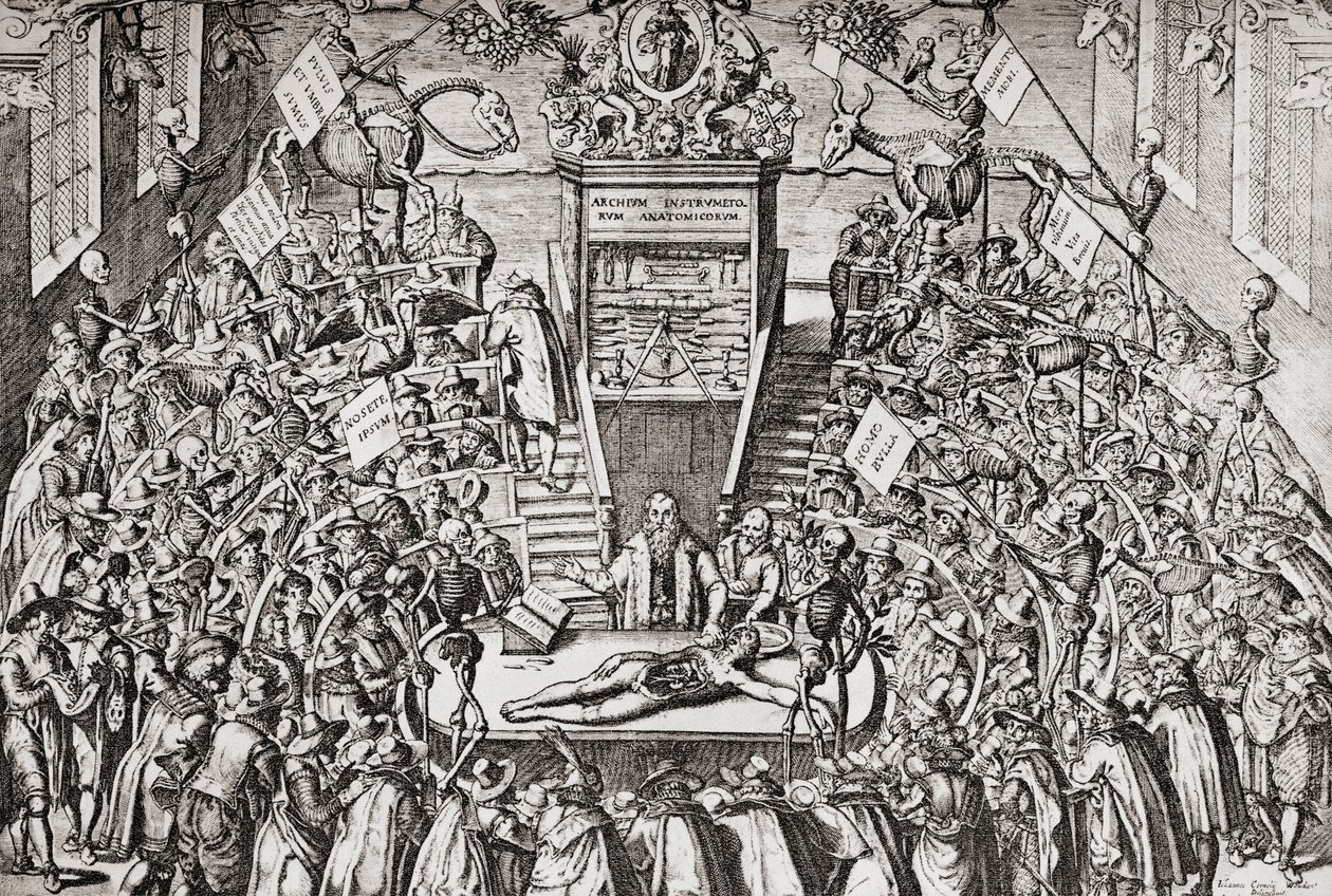 Students Attending an Anatomy Class at Leiden University by School Netherlandish
