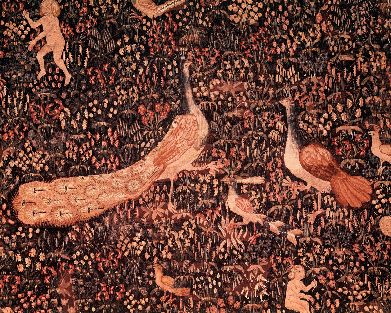 The Curtain of the Seigneuriale Life: Detail Depicting Birds, Peacock by School Netherlandish