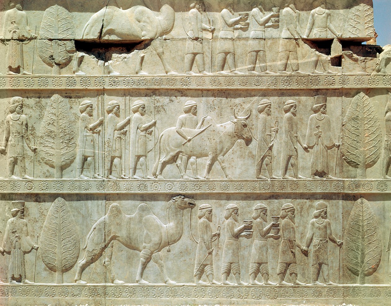 Detail of the relief frieze on the East stairway to the Apadana depicting delegates from the subject lands of the empire bearing lavish gifts for a ceremony, Achaemenian period by School Persian