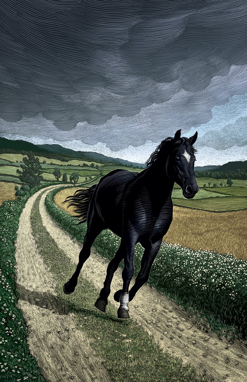 Black Beauty by Scott McKowen