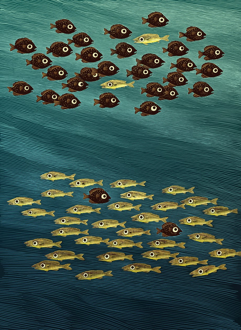 Fish by Scott McKowen