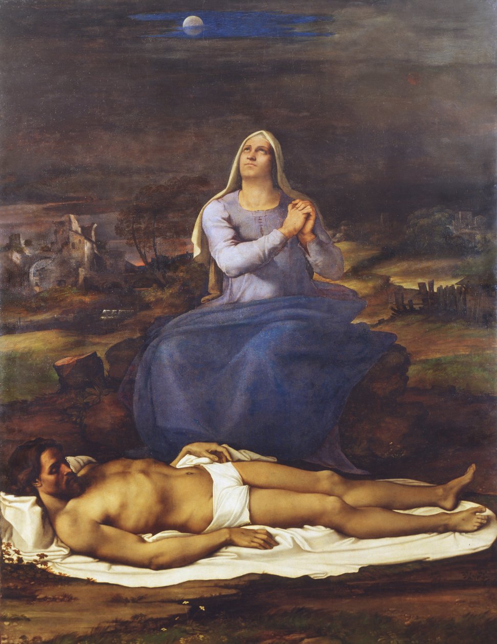 Unknown Image by Sebastiano del Piombo