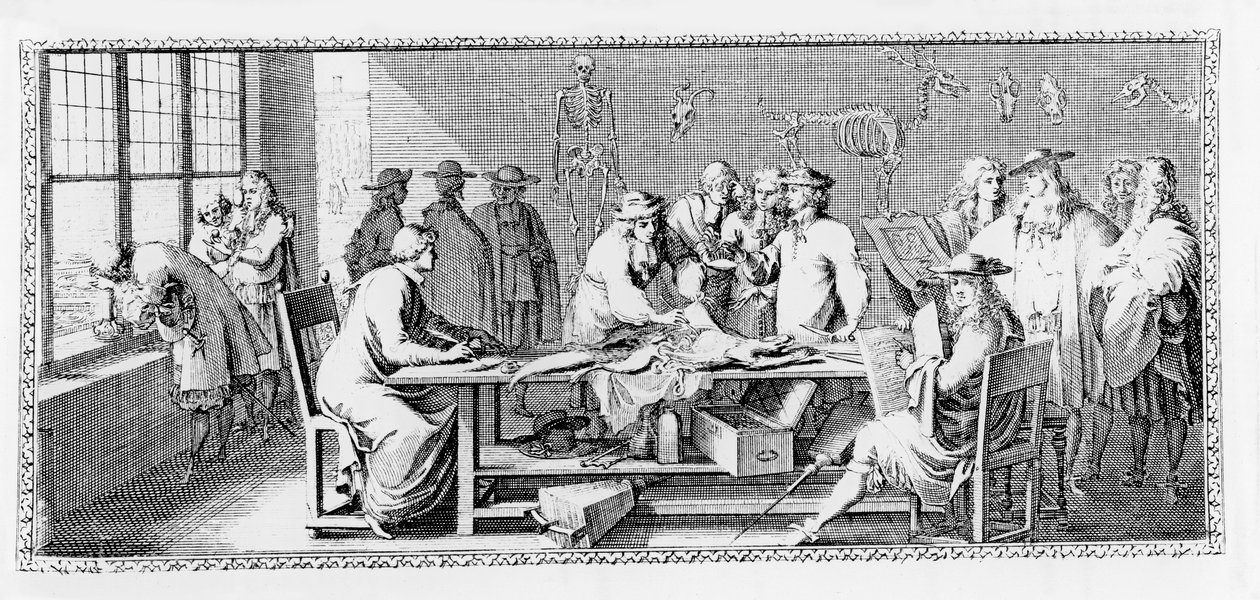 The Anatomy Lesson, Dissection at the Jardin des Plantes by Sebastien I Le Clerc
