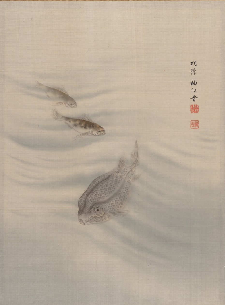 Fishes by Seki Shuko