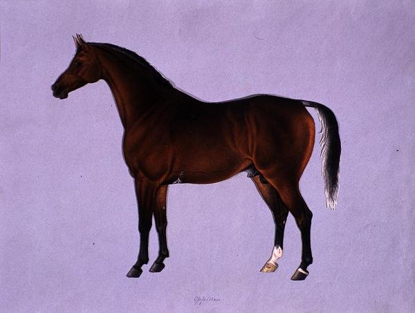 Oppidan, c.1840 by Shaik Muhammad Amir of Karraya