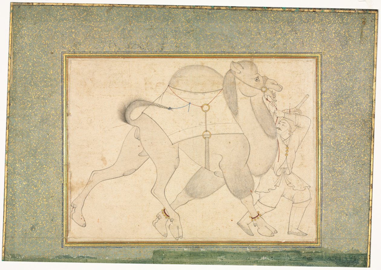 Camel and Groom, Single Page Illustration, c. 1545-1576 by Shaykh Muhammad