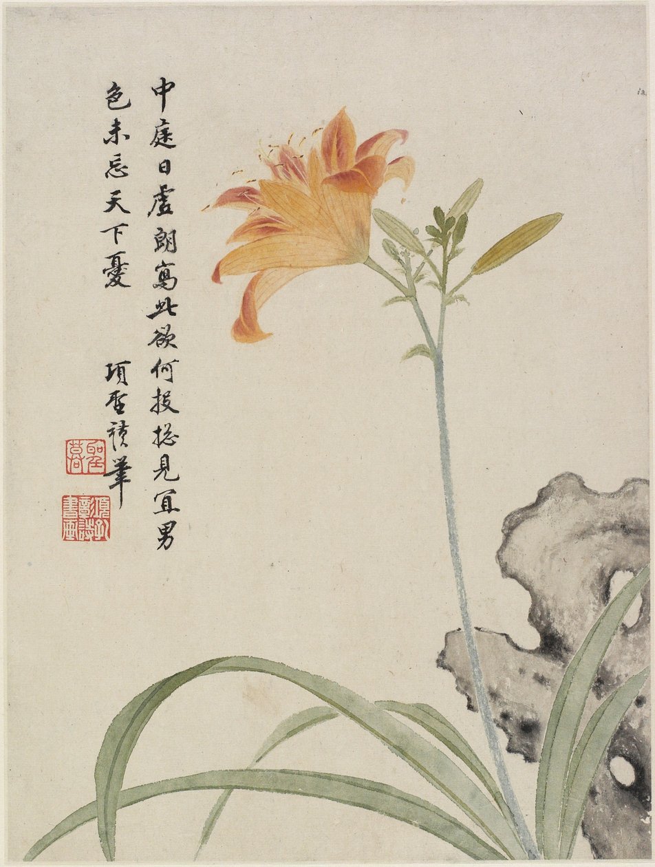 Day-Lily from a Flower Album of Ten Leaves by Shengmo Xiang