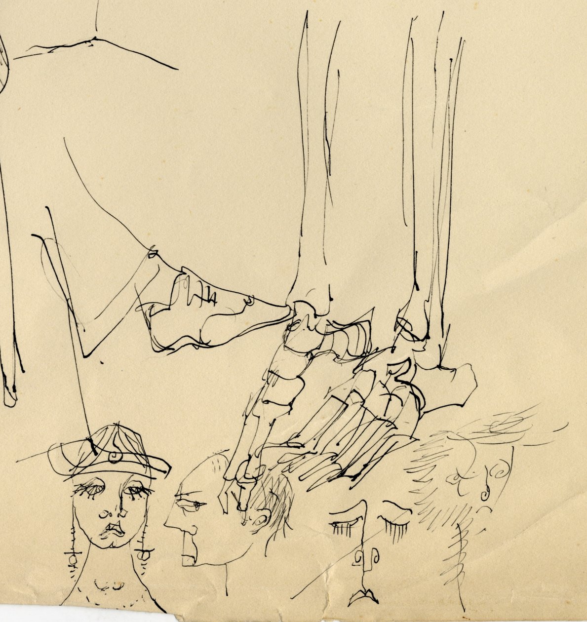 Faces, and Bones of the Foot, 1953 by Shirley Markham