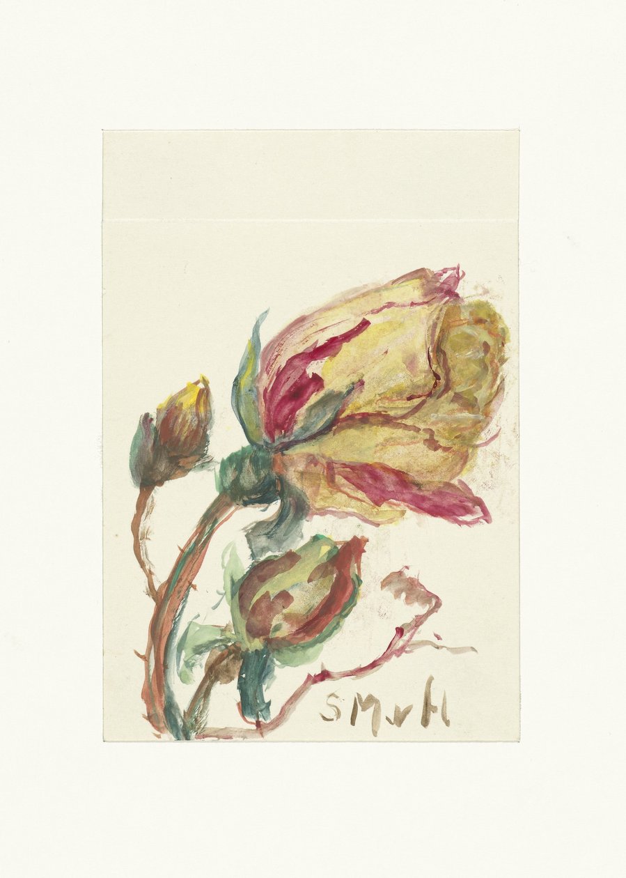 Rose by Sientje Mesdag van Houten