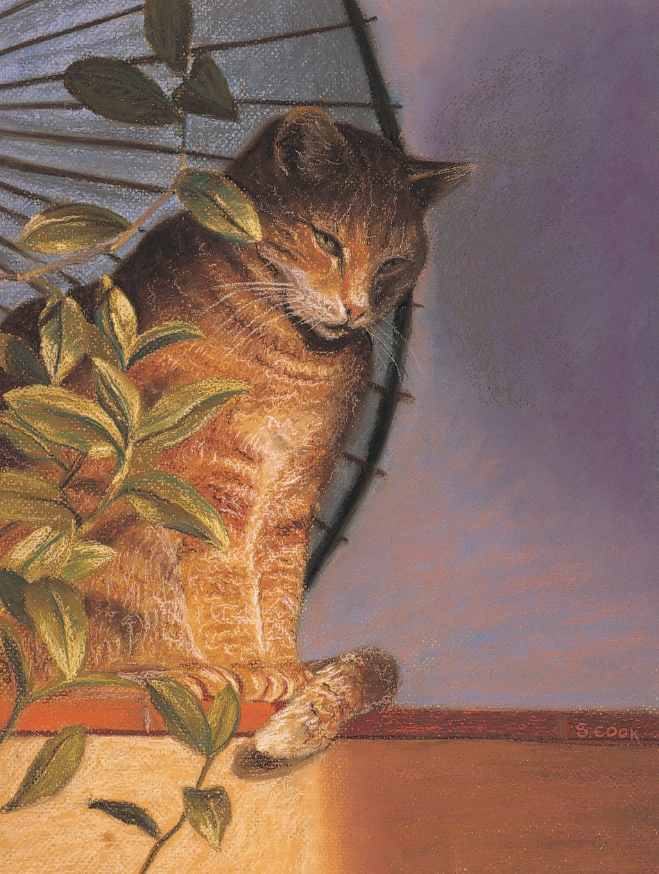 Contemplation by Simon Cook