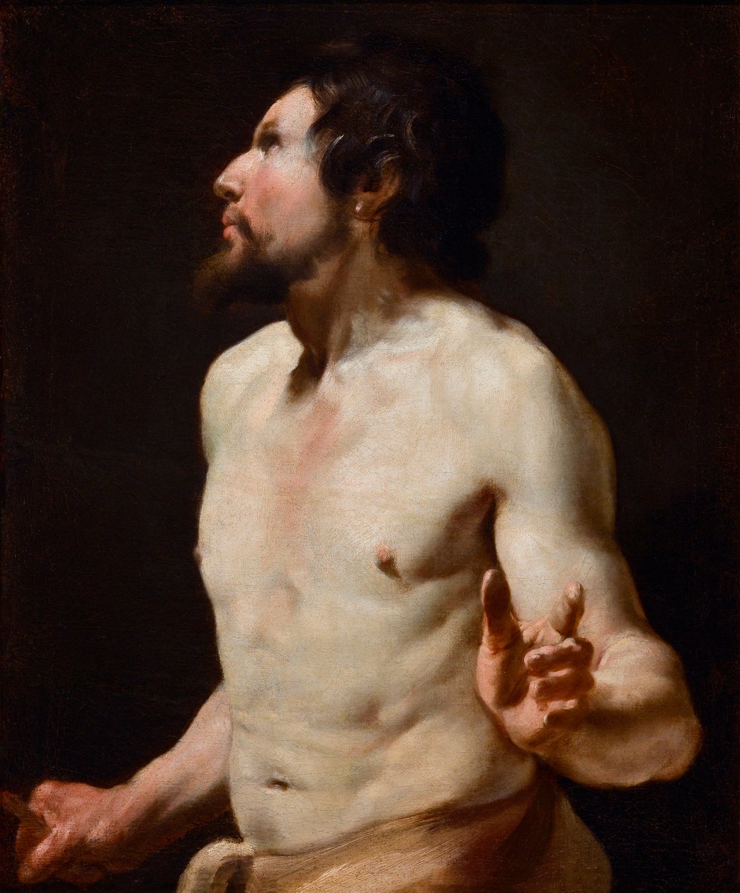 Study of Torso from the School of Simon Vouet by Simon (circle of) Vouet