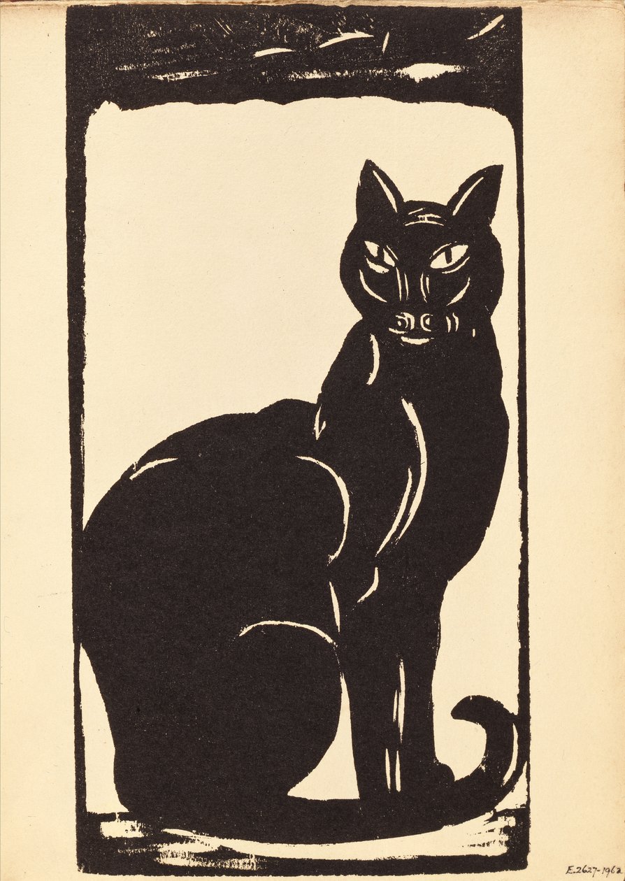 Black Cat by Simon Albert Bussy