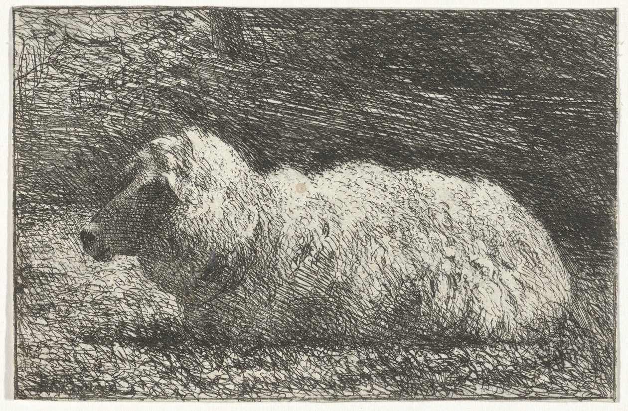 Lying Sheep by Simon Andreas Krausz